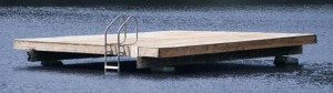 FHP Swim Platform